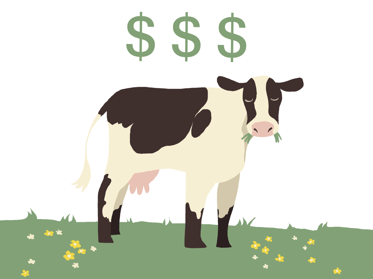 Financing available